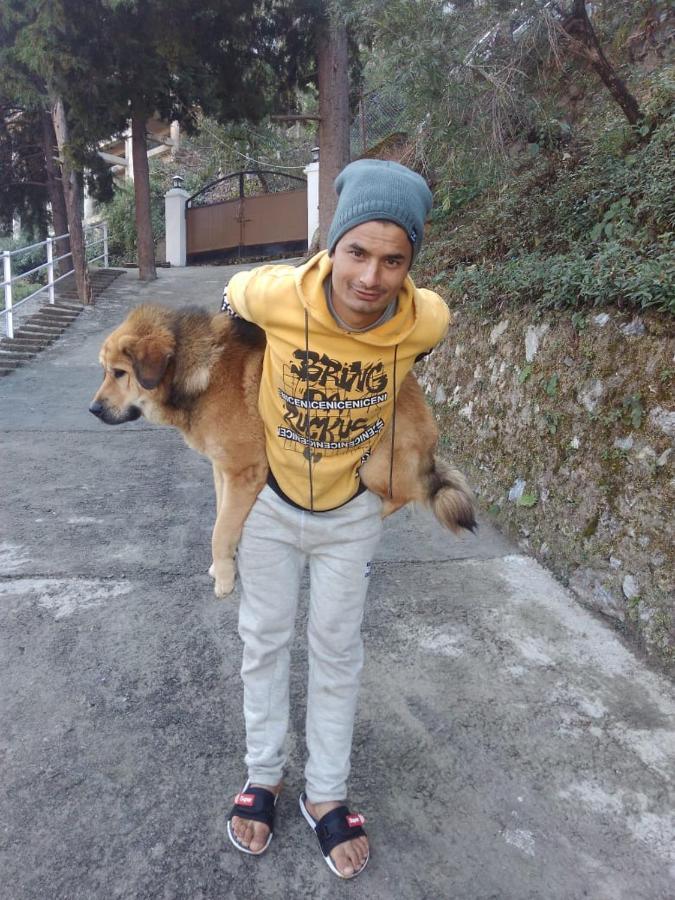 The Brigadiers Cottage, Mussoorie Extérieur photo